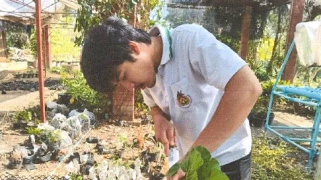 ภาพปก การศึกษาอัตราส่วนที่เหมาะสมของวัสดุปลูกผสมกากกาแฟที่ส่งผลต่อประสิทธิภาพการงอกและการเจริญเติบโตของผักกวางตุ้งดอก